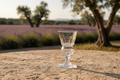 Absinthe glass Vinart Val-de-Travers
